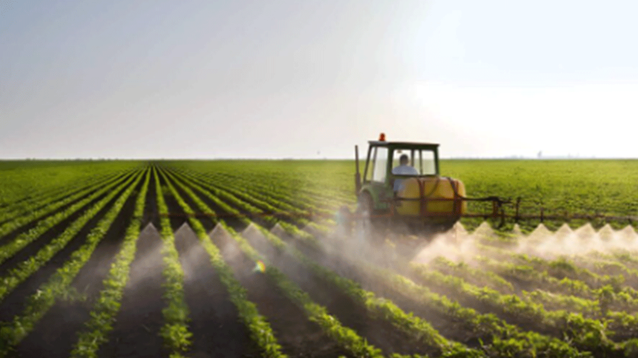 Bomba ihbarı 3 milyar cirolu firmayı batırdı! Türk tarım devi iflas ediyor