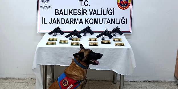 Bomba köpeği 'Vaha' kaçak silahları buldu