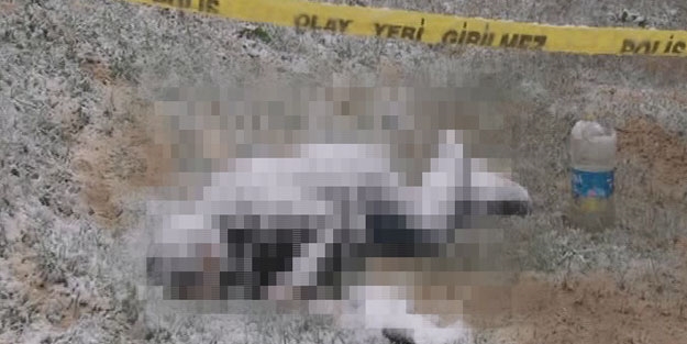 Bonzai içen gencin feci sonu!