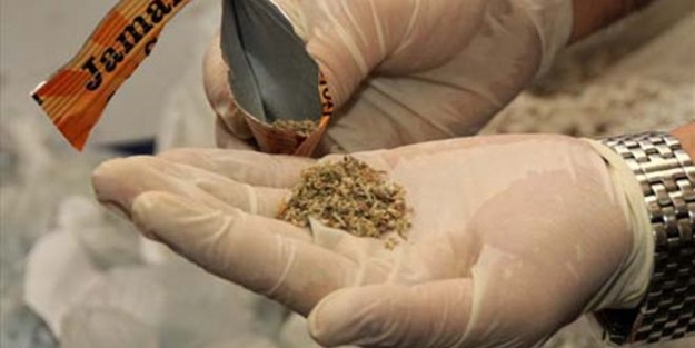 Bonzai için beş Bakan toplandı