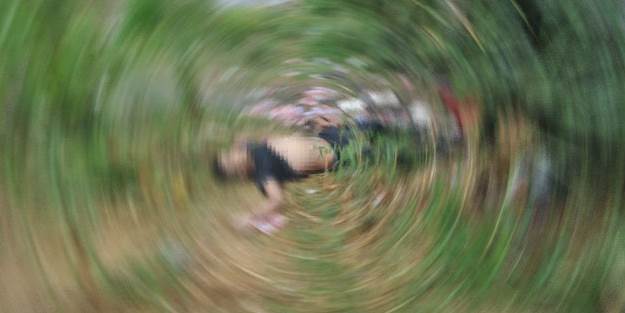 Bonzai yine can aldı!