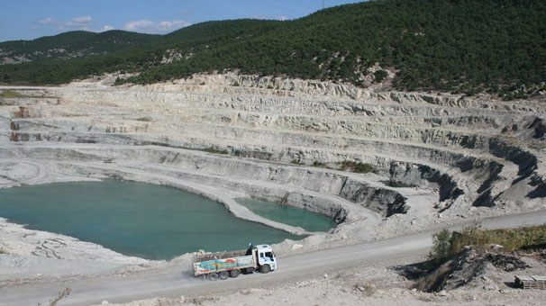 Bor radyasyona zırh oluyor