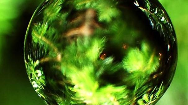 Bordan 'yeşil enerji' üretildi