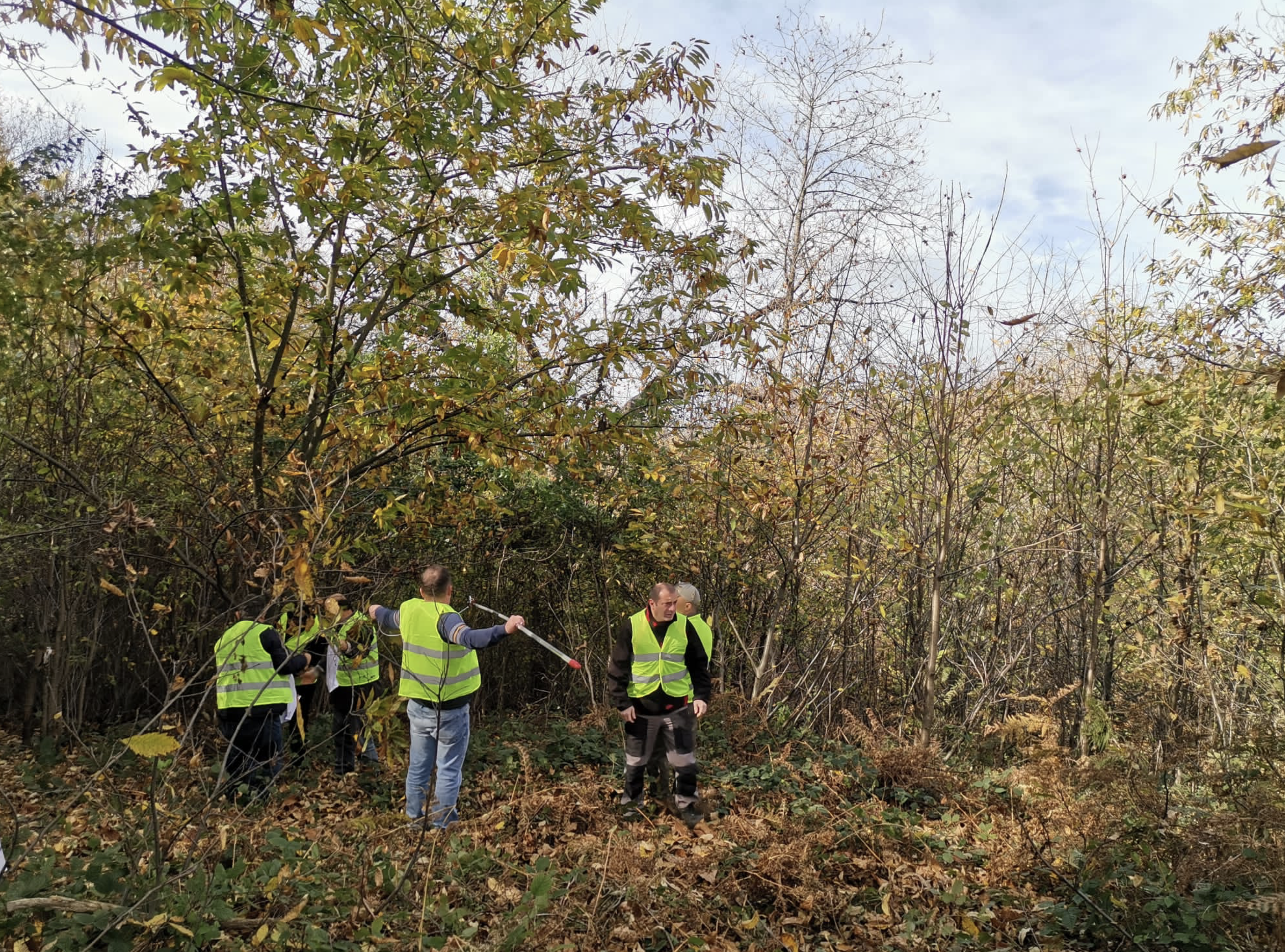 Borusan EnBW Enerji’den Bandırma Karadağ Kestanesi’nin Geleceği Projesi