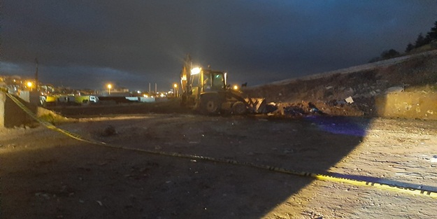 Boş arazide 20 ölü köpek bulundu