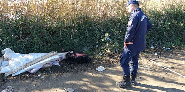 Boş arazideki endişelendiren görüntü ekipleri harekete geçirdi!