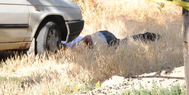 Boş arsada kan donduran manzara