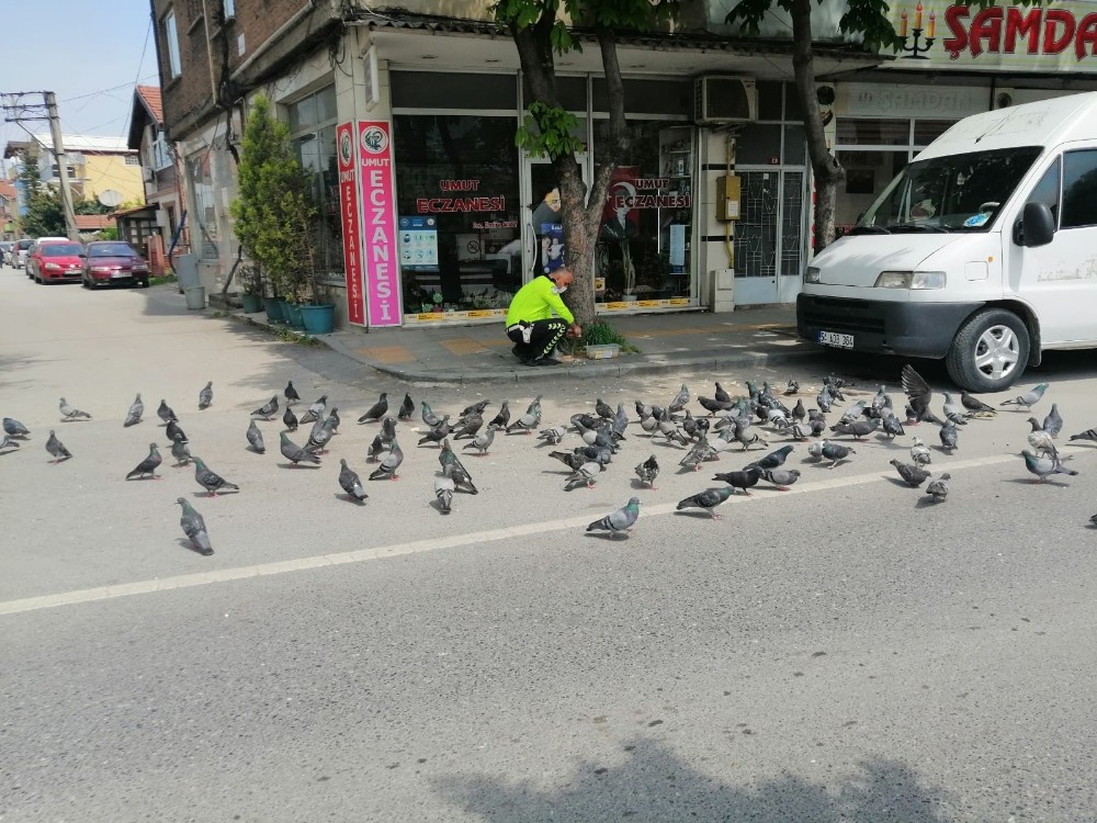 Boş sokaklarda yiyecek bulmakta zorlanan kuşları görevli Trafik polisi besledi 