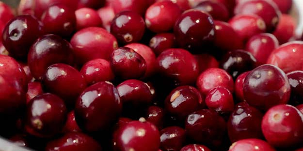 Boş yere antibiyotik kullanımına son! Bu meyveyi tüketin: Turna yemişi, doğada kendiliğinden yetişiyor! Rafın şampiyonu meyve