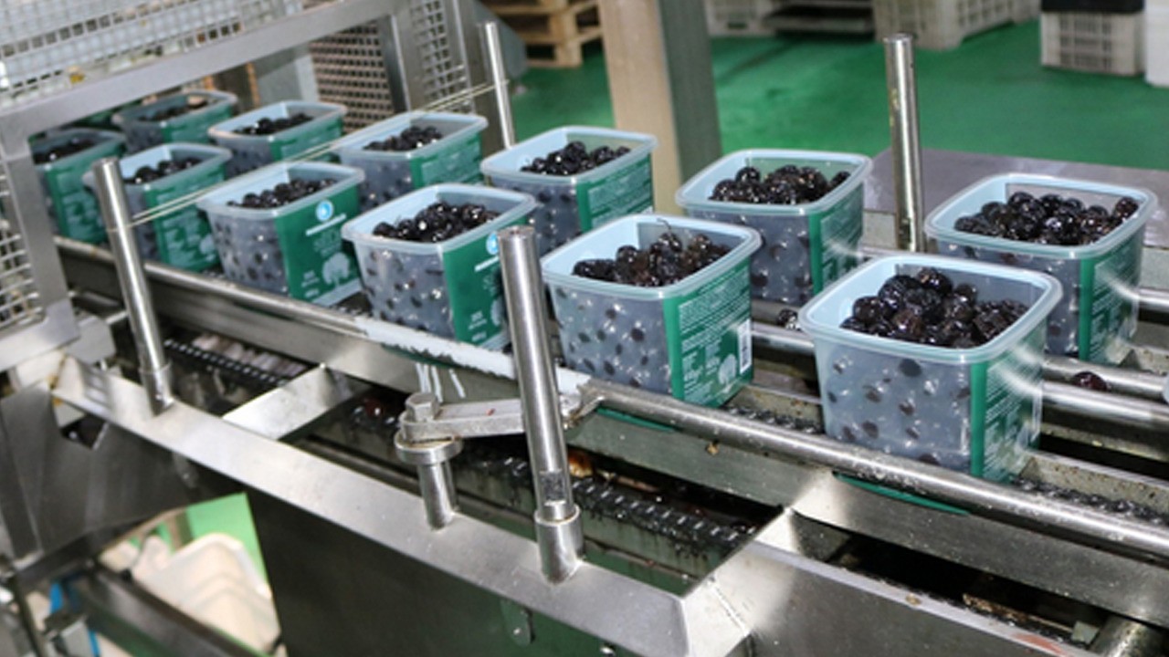 Türk şirketinden 32 milyon dolarlık ihracat!