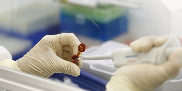 Domuz gribi can aldı