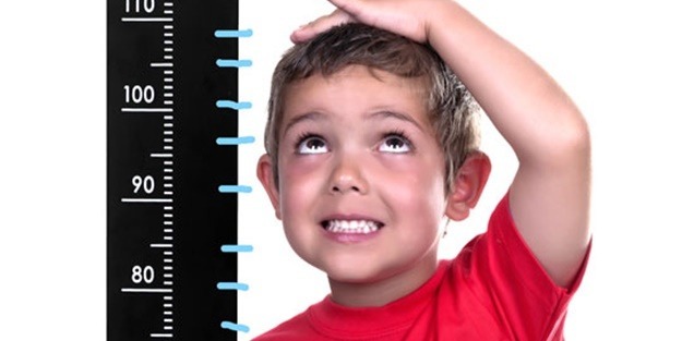 Boy uzattığını bilmediğimiz şaşırtıcı besinler