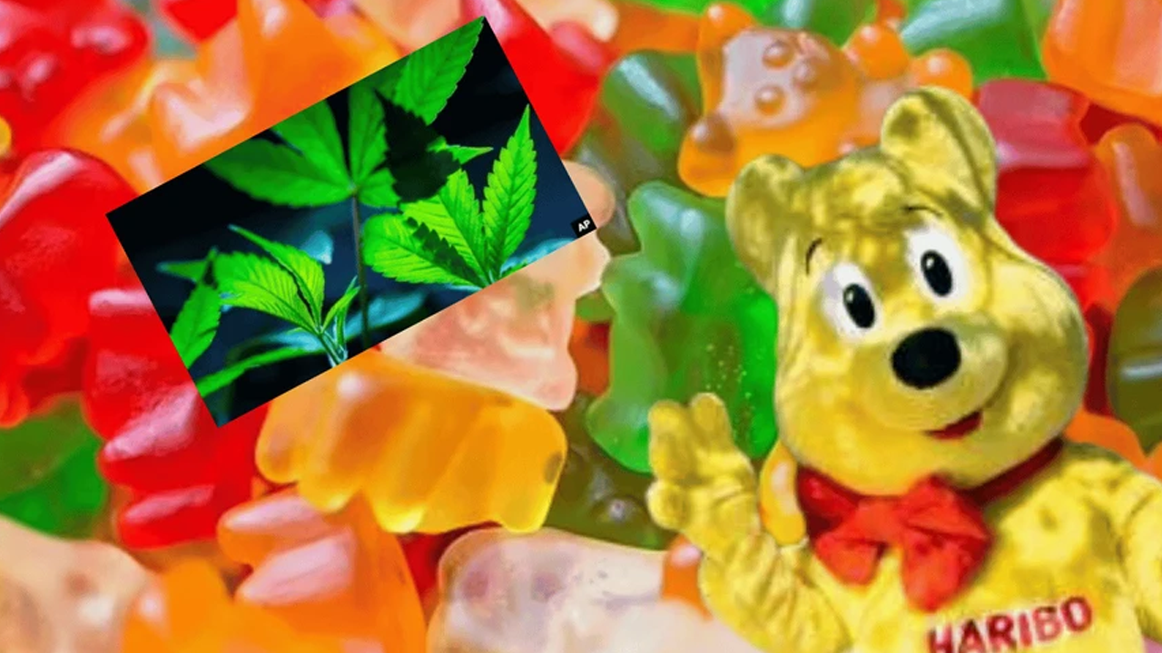 Boykot markası Haribo'dan esrar çıktı!
