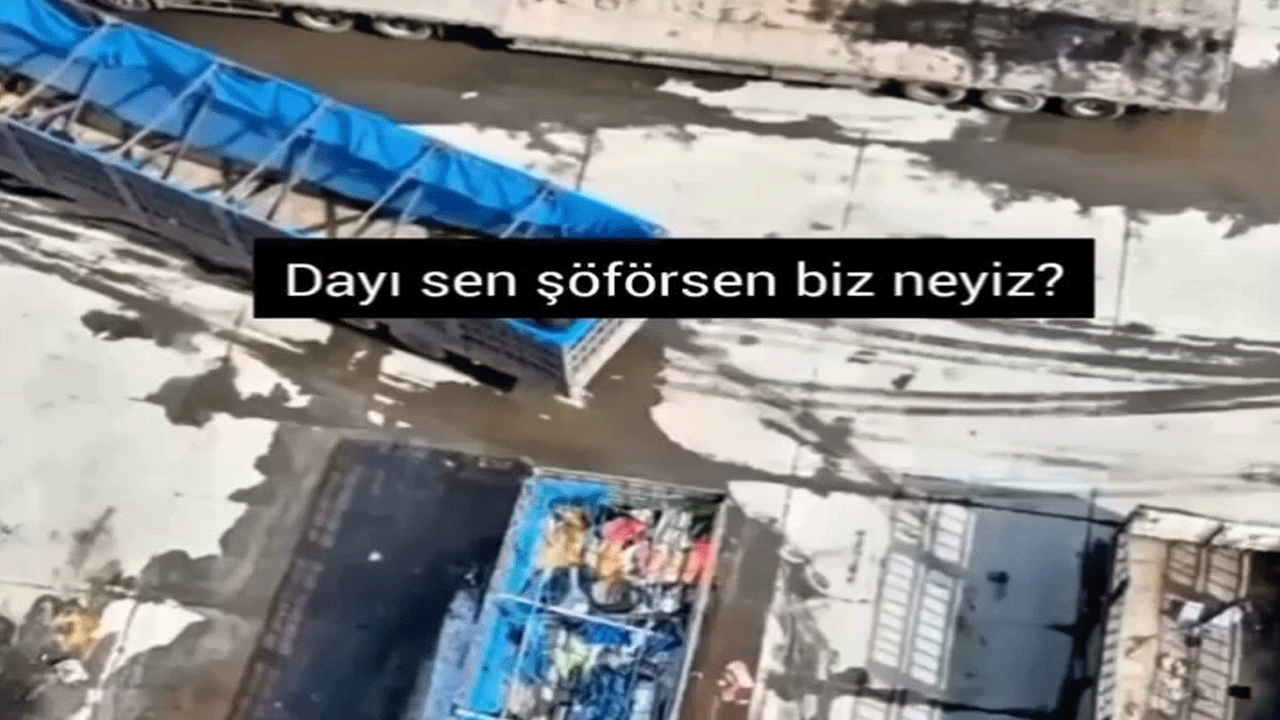 Böyle araç parkı görmediniz! Sanat eseri gibi