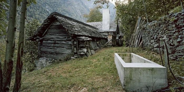 Dış görünüşüne aldanmayın