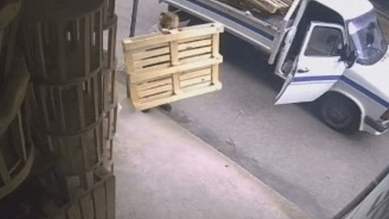 Böyle rahatlık görülmedi! Kamyonete yükleyip gittiler!