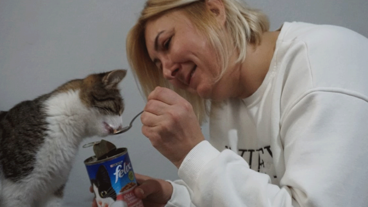 Böyle sevgi görülmedi! Evini kedilere verdi!