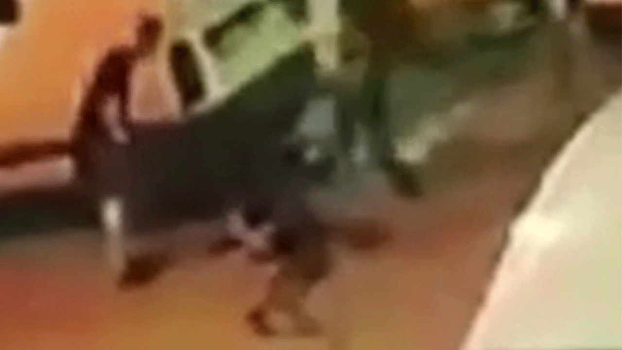 Böyle vicdansızlık görülmedi: Patronun öldüresiye dövdüğü işçi yüzde 32 engelli kaldı!!!