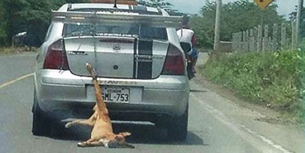 Böyle vicdansızlık olamaz!