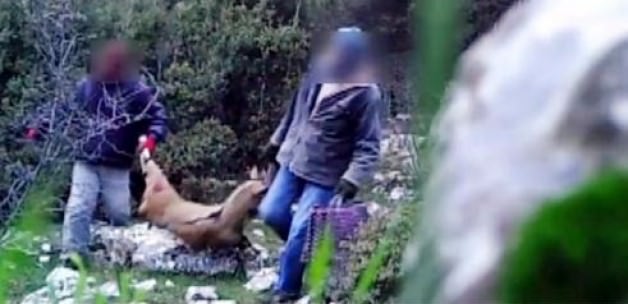 Böyle yakalandılar!