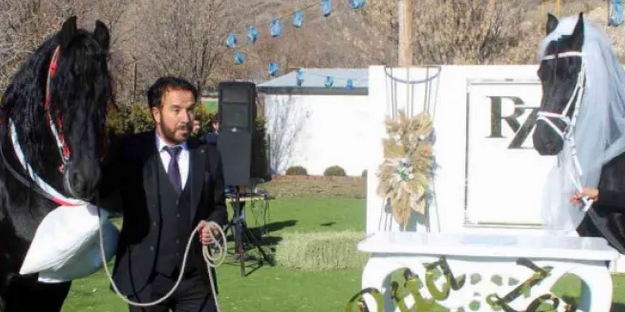 Böylesi görülmedi! Bakın atlara ne yaptılar! Yok artık...