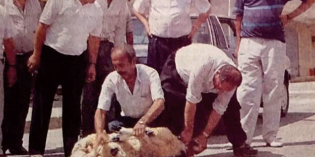 Böyleymiş CHP’nin Laik Demokratik Cumhuriyetinde işler demek ki… Genelev açarken kurban kesip davul zurna bile çaldılar