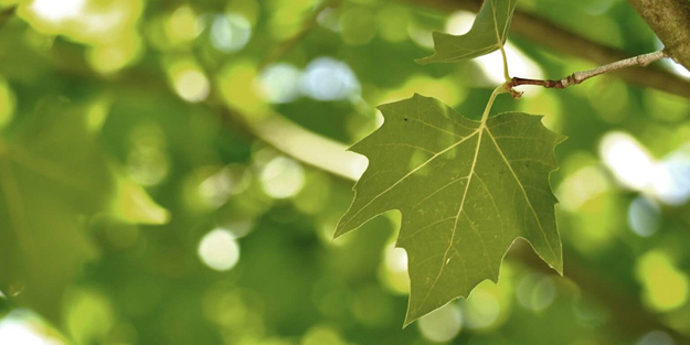 Boyun ve bel fıtığı için birebir: Bel fıtığını ameliyatsız yenmenizi sağlıyor! Başarı oranı %90... Bunu yapın