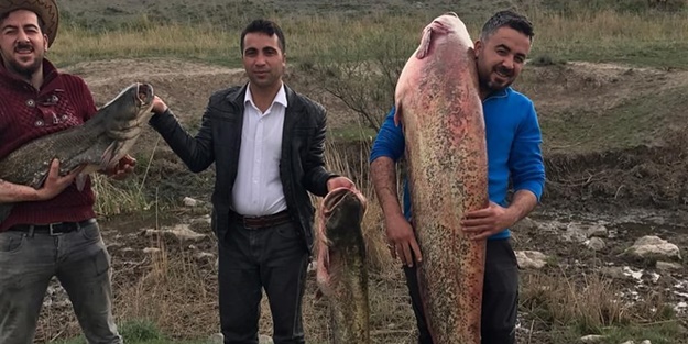 Boyundan büyük balık avladı!