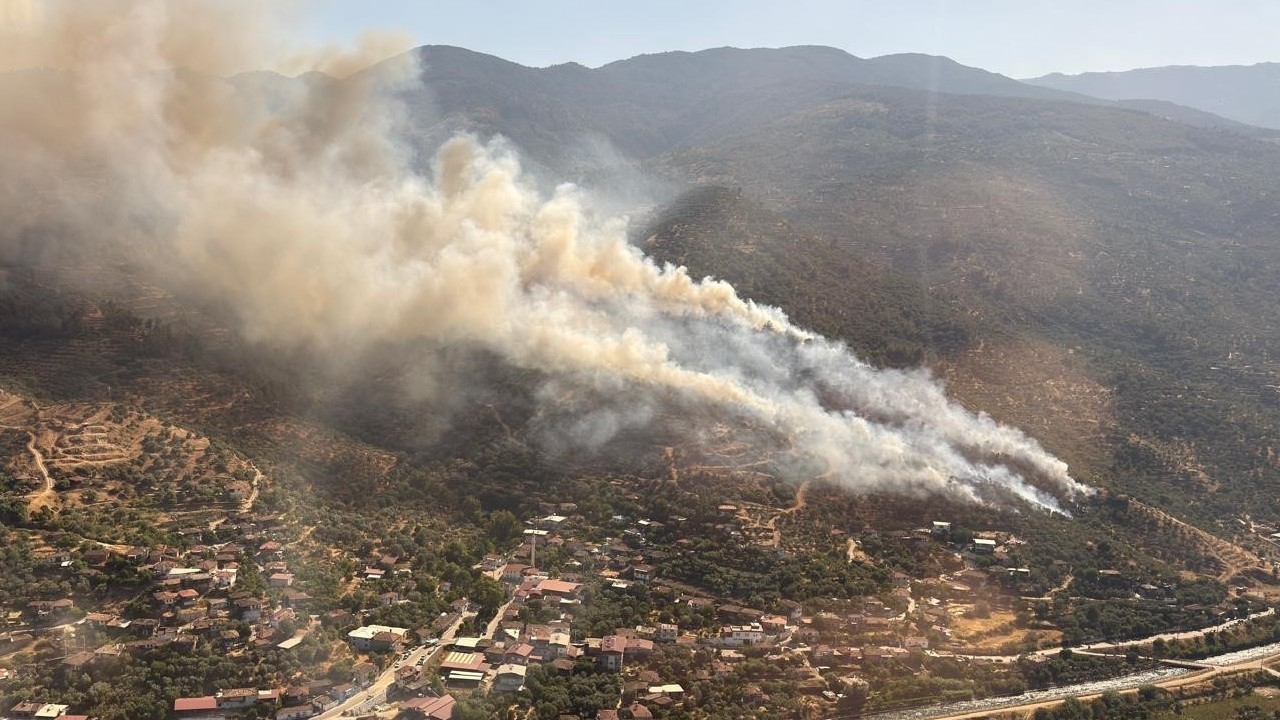 Bozdoğan'daki orman yangını kontrol altına alındı