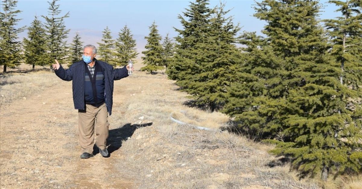 Bozkırın 'Toprak dedesi' Ağaç sevgisi ormana dönüştü
