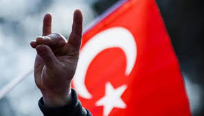 Bozkurt ve yükselen milliyetçilikler! Türkiye'nin kaderini belirleyecek en önemli konu bakın ne