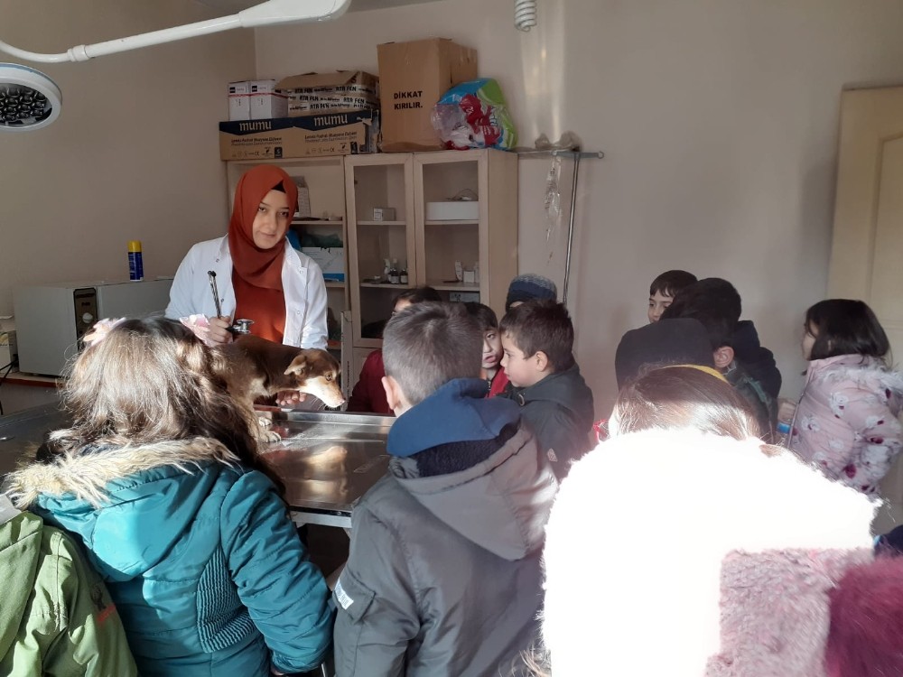 Bozüyük’te minikler barınaktaki dostlarını unutmadı 
