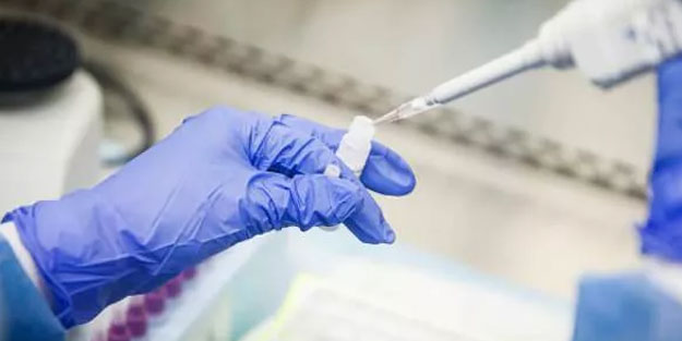 Brezilya'da koronavirüs nedeniyle ölü sayısı arttı