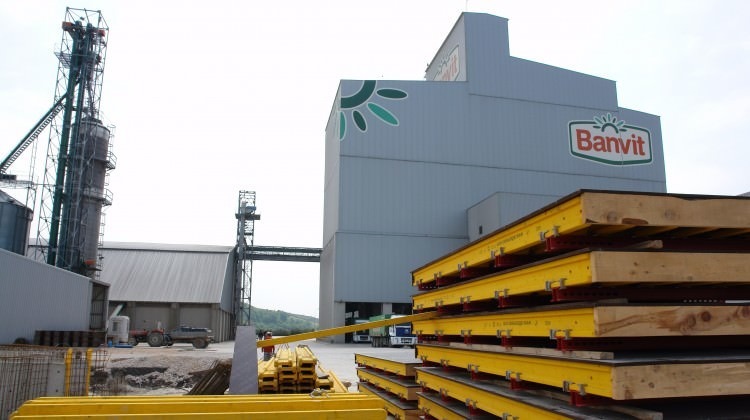 Brezilyalı gıda devi Banvit'e talip oldu!