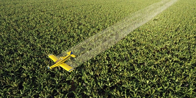 Brezilyalı siyasetçiden ilginç koronavirüsü önerisi: Uçaklardan sıkalım