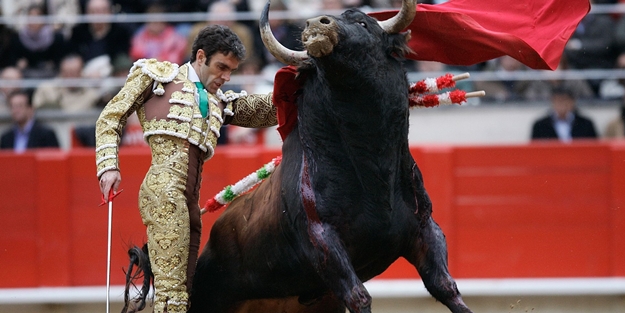 Bu 13 şeyi yanlış biliyorsunuz