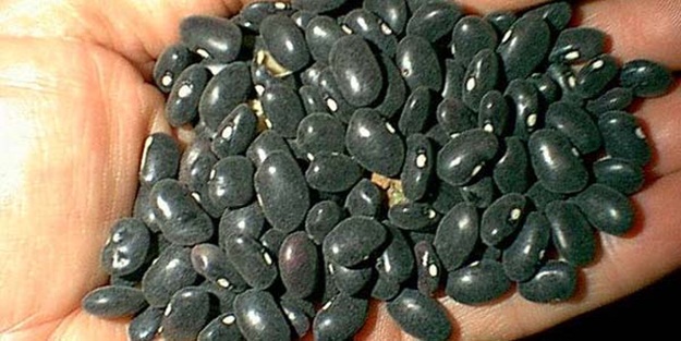 Bu 30 gıdaya dikkat, herkes tüketmeli - FOTO