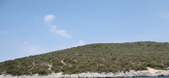 Bu ada Türkiye'de! Ada satılığa çıktı istenen rakam dudak uçuklattı