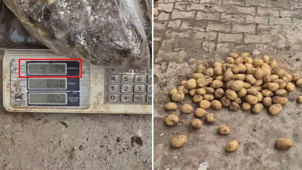 Bu, ahlaksızlıktan da öte bir şey! 22 kiloluk çuvaldan 13 kilo patates çıktı