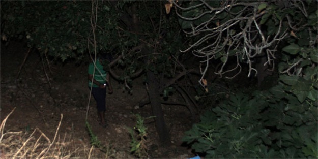 Bu ailenin kaderi ağaç dibinde ölmek