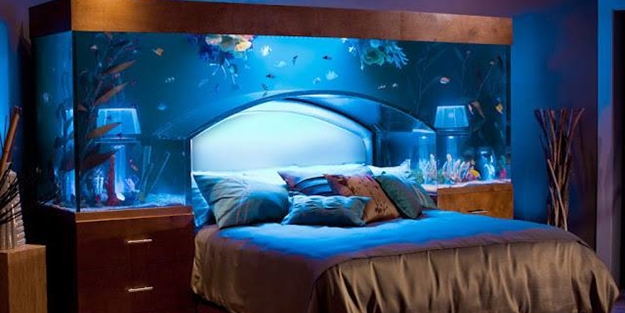 Bu akvaryumlar hayranlık uyandırıyor - FOTO