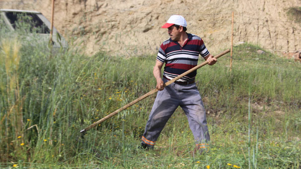 Tırpan kullanana mühendis maaşı!