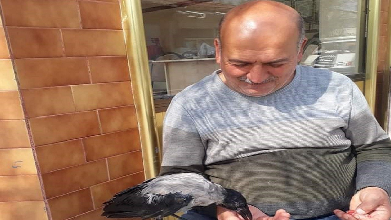 Bu arkadaşlık 'et' sayesinde kuruldu!