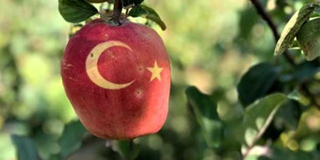Bu ayvaları görenler hayrete düşüyor