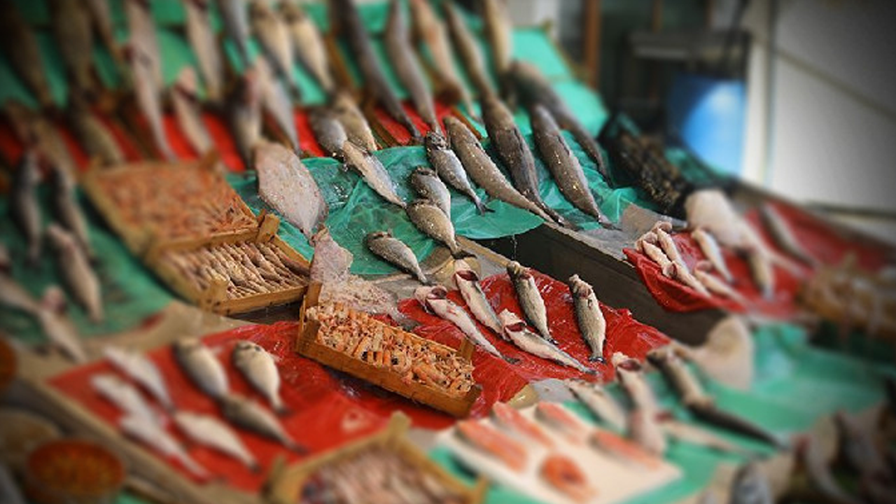 Bu balıklara dikkat! Çocukları uzak tutun!