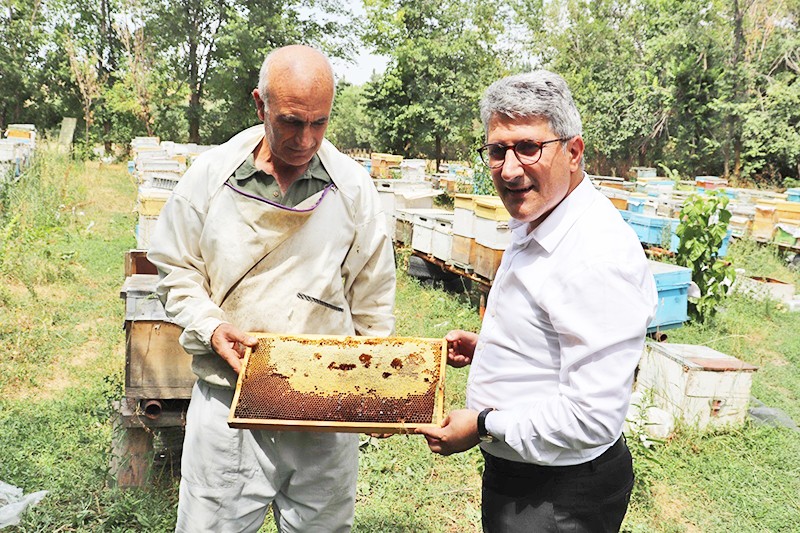 Bu balın prolin değeri Türkiye ortalamasının çok üstünde