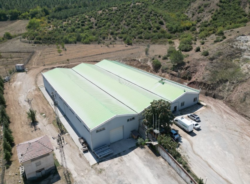 Bu beldede kadınlar ceviz kırarak para kazanıyor!