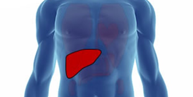 Bu belirtilere dikkat! Karaciğerinizde sorun olabilir...