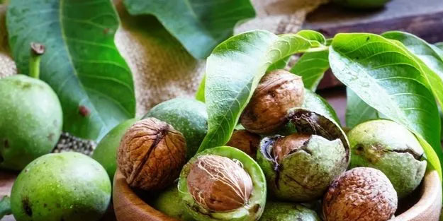 Bu besin dört saat içinde damarları temizliyor!