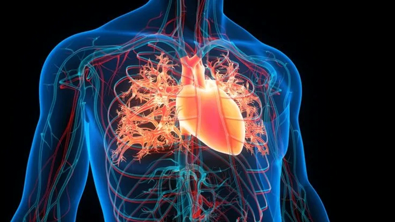 Bu besini gündüz tüketenler yaşadı! İlginç keşif bir anda gündem oldu